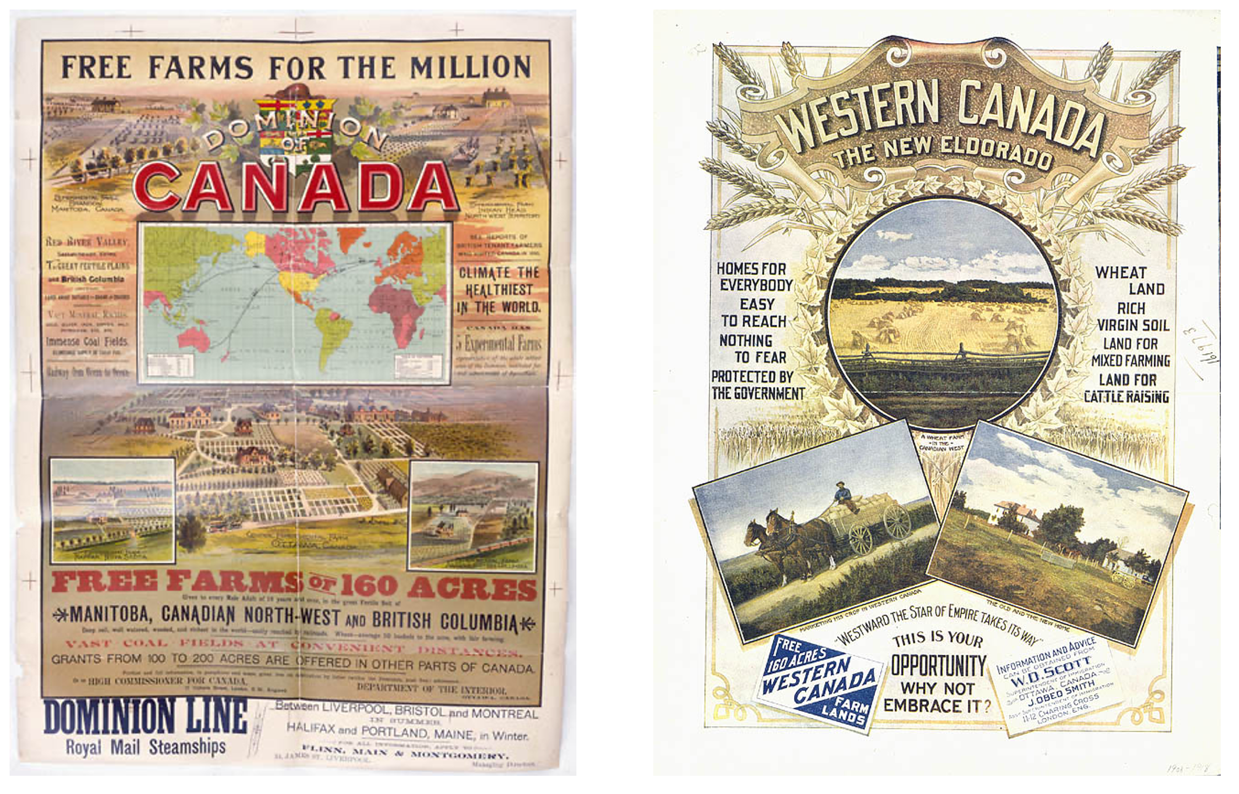 A collage of posters

Description automatically generated